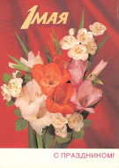 ��������  1 ���, 1985