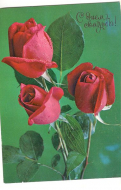 ��������  � ���� �������,   1977