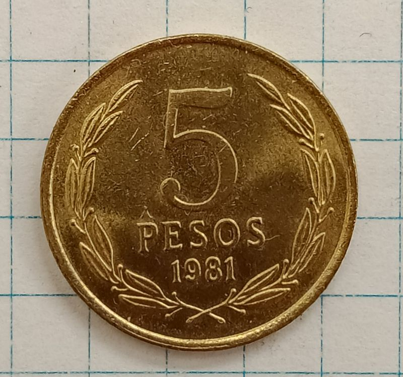 5 ���� 1981 ����
