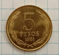 5 ���� 1981 ����

