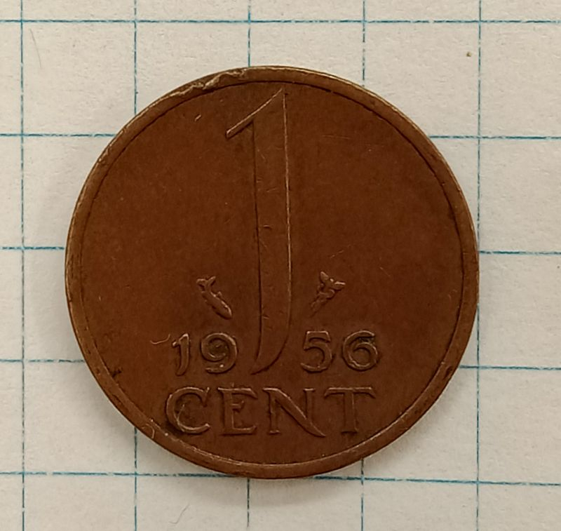 1 ���� 1956 ����������
