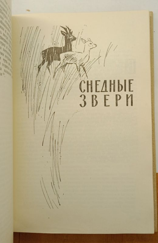 �.�. �������� ������� ��������-����������� 1962
