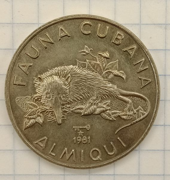 1 ���� 1981 ���� - �������

