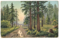 ��������  ��� �� 1917 �.
