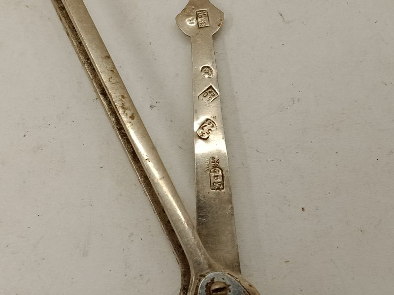 ���� 1954 �.
