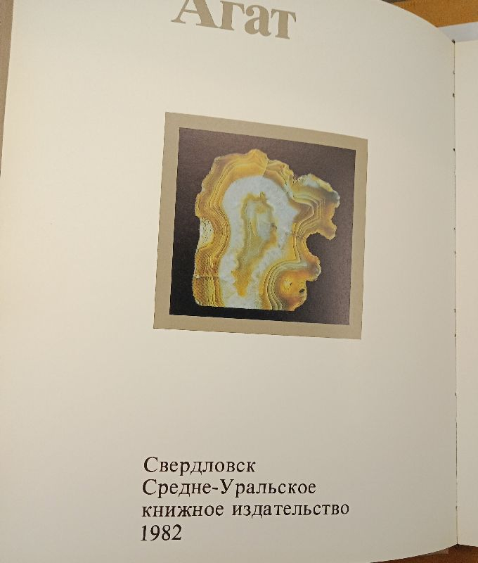 ����� ���� ����� ����� 1982 �.
