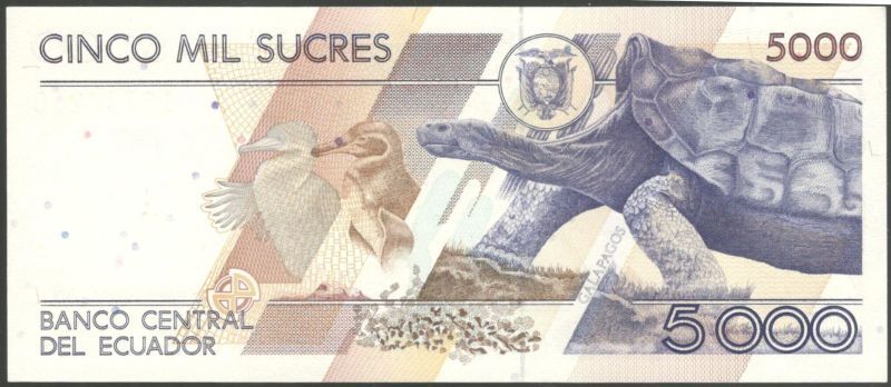 5000 ����� 1999 ������� UNC
