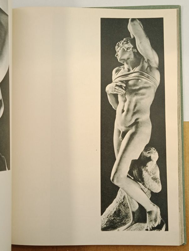 ������ ������������, 1964
