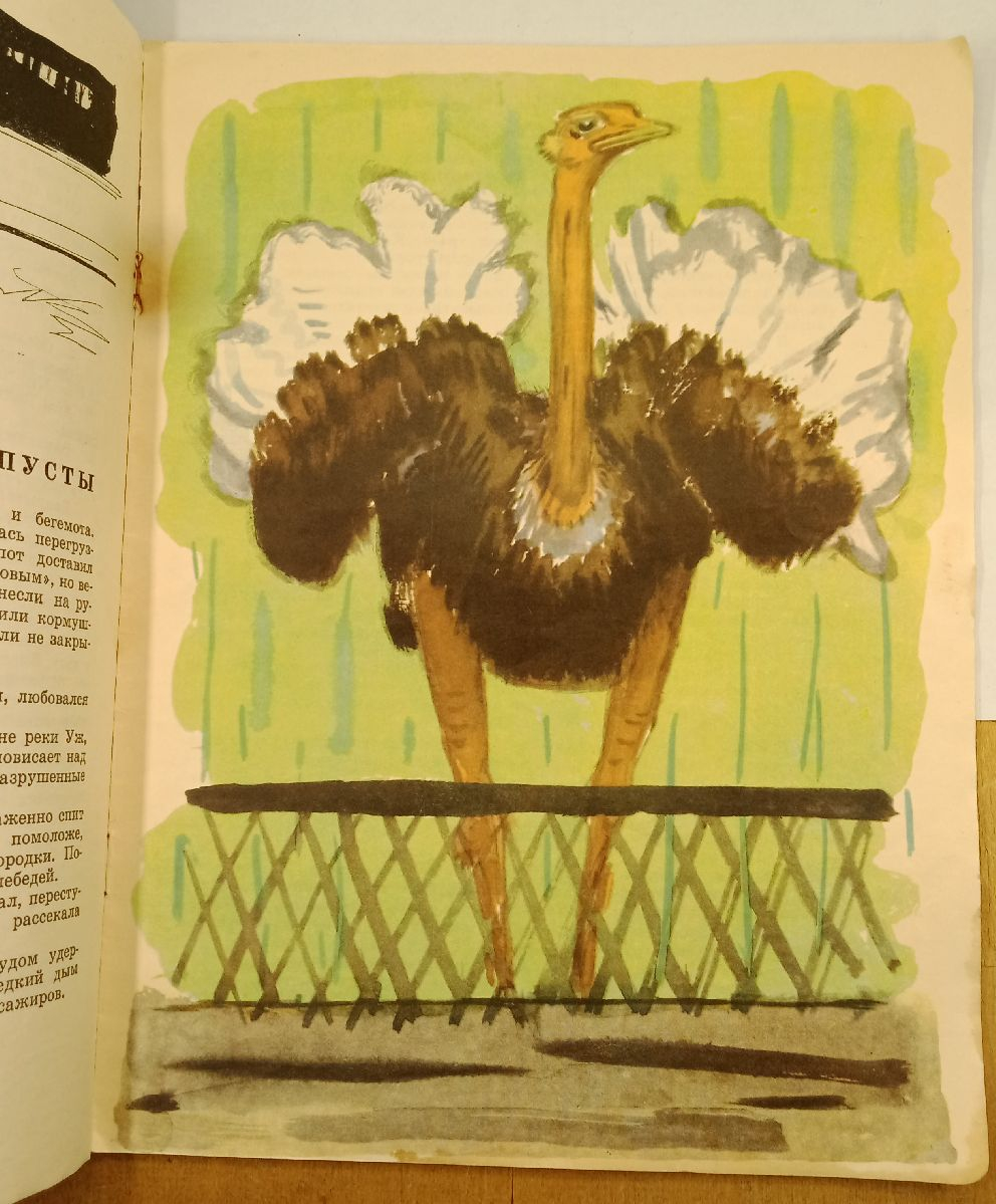 ����� �. ������� ����� � ����, 1967
