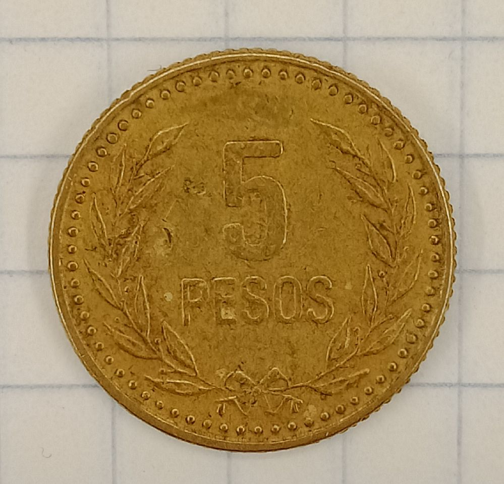 5 ���� 1991 ����
