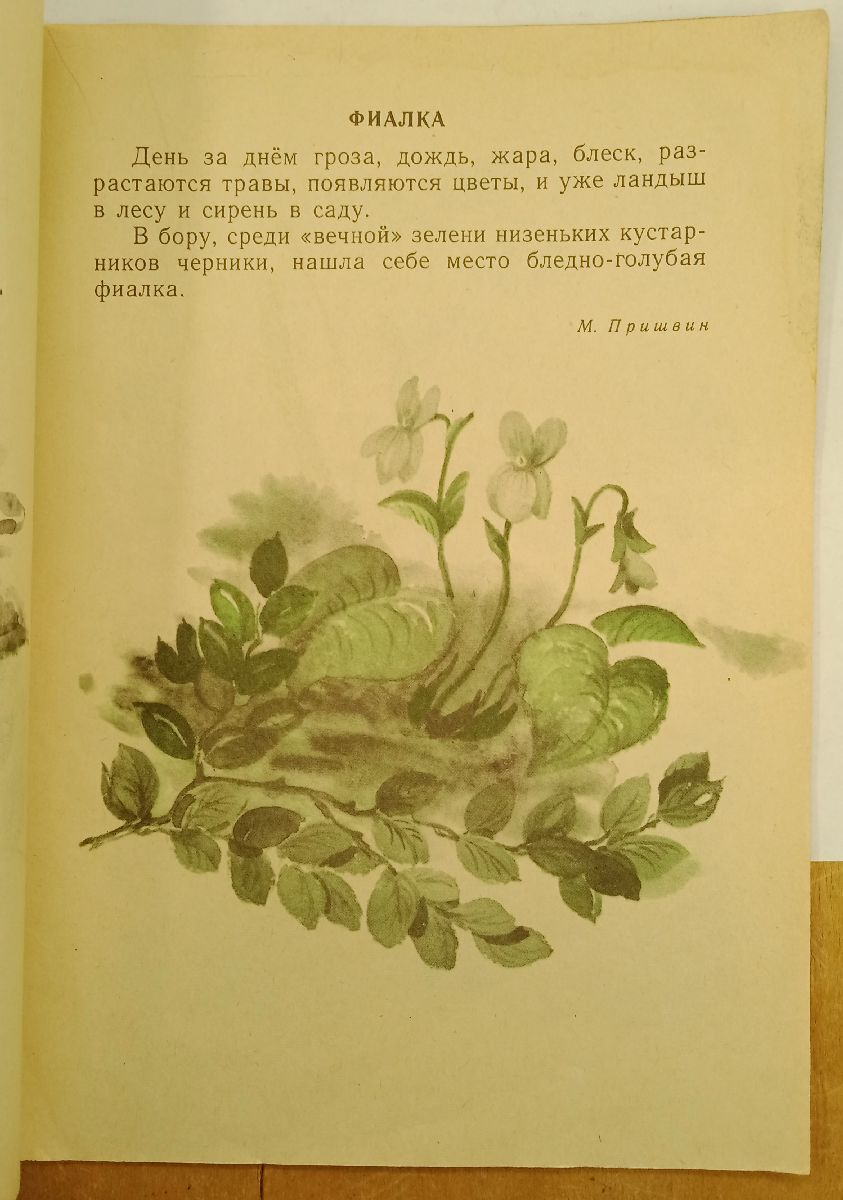 ����� ����� ���� 1975 �.
