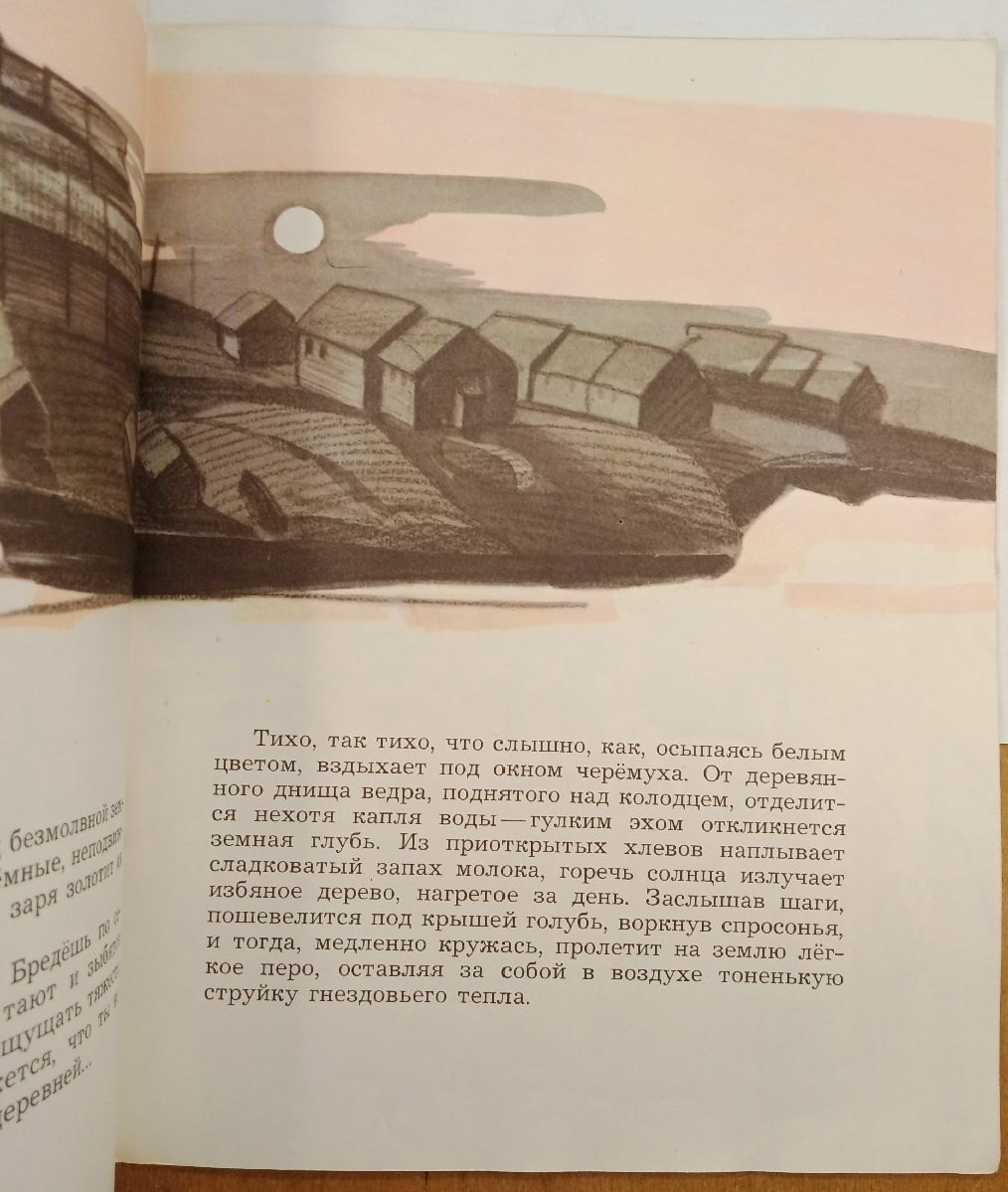����� �. ������� ���� ����� 1980 �.
