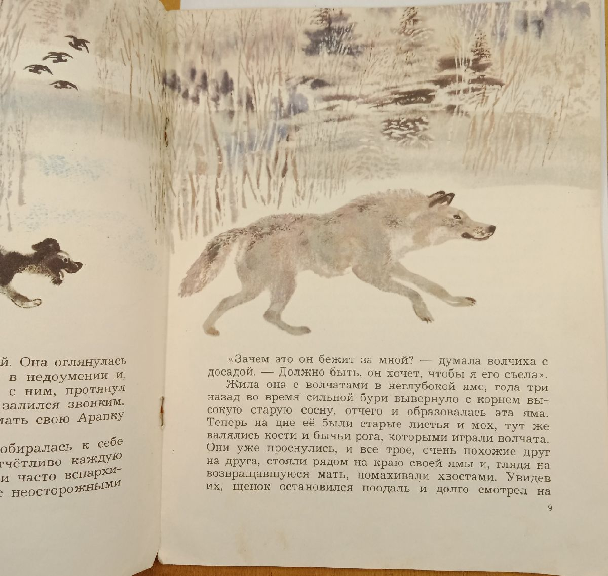 ����� �.�. ����� ���������. 1977 �.
