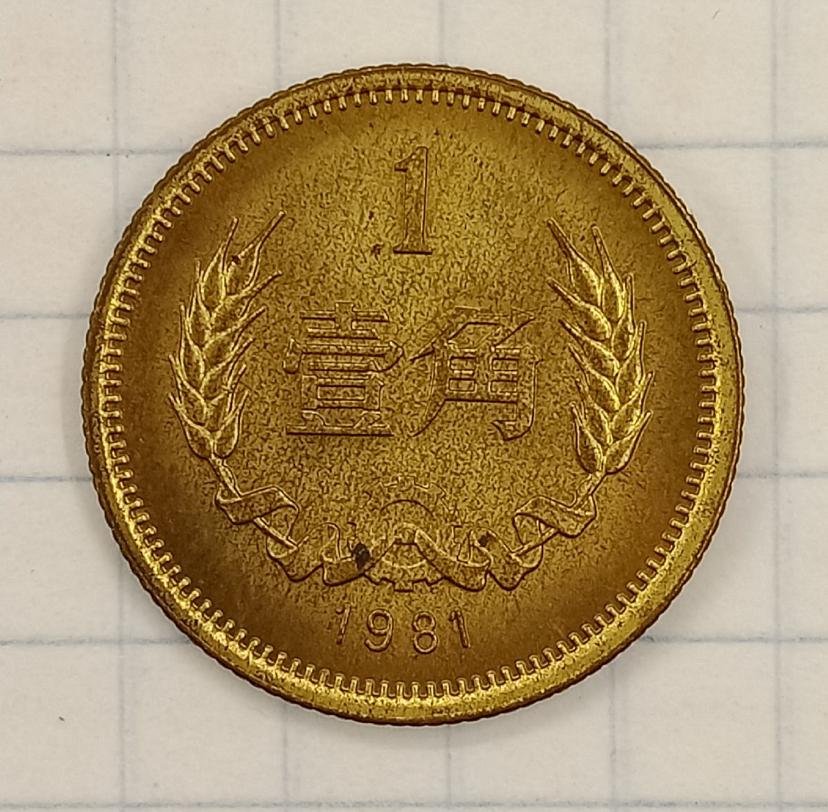 1 ���� 1981 �����

