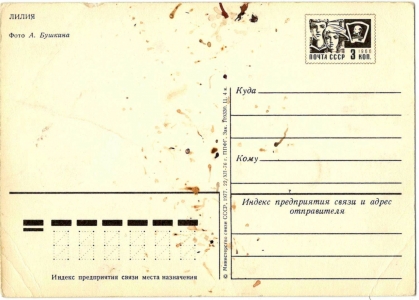 �����. 1977 �. �. ������