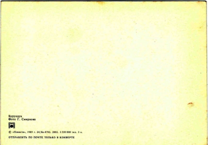 ��������. 1989 �. �. �������