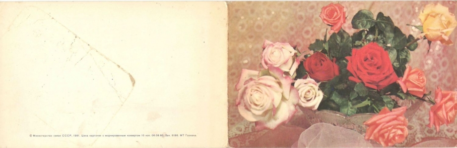 8 �����. 1981 �. 