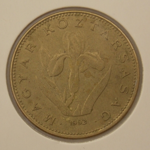 20 �������� 1993 �������