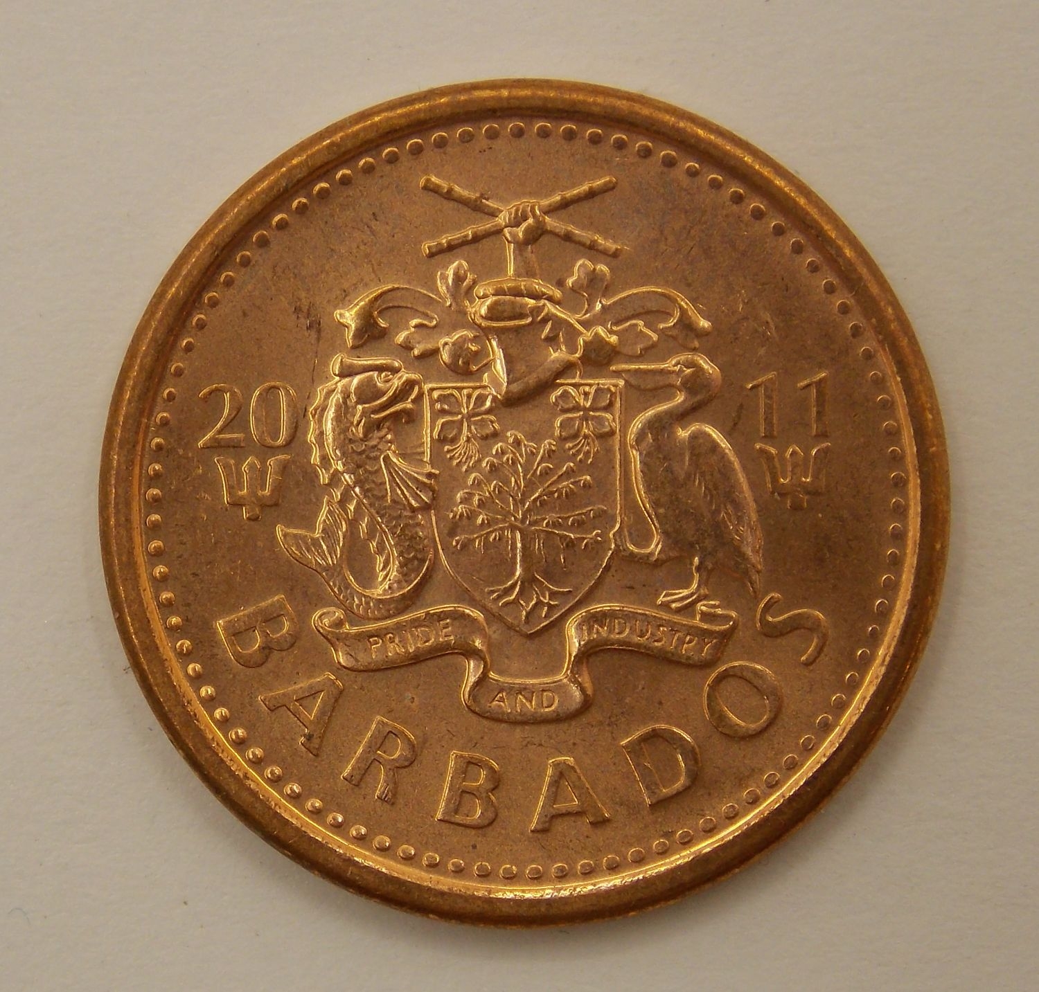 1 ���� 2011 ��������